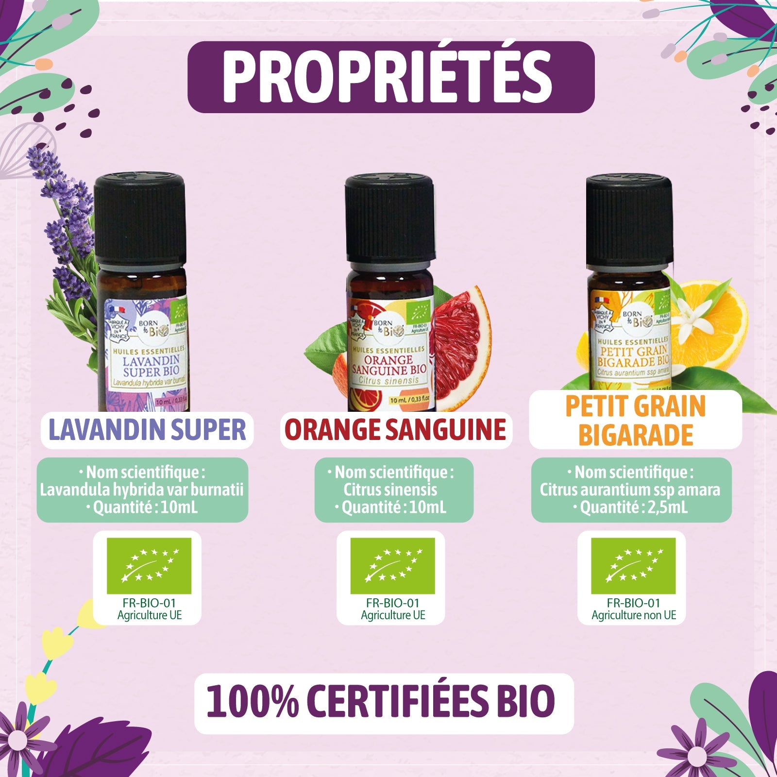 Coffret thématique sommeil-2